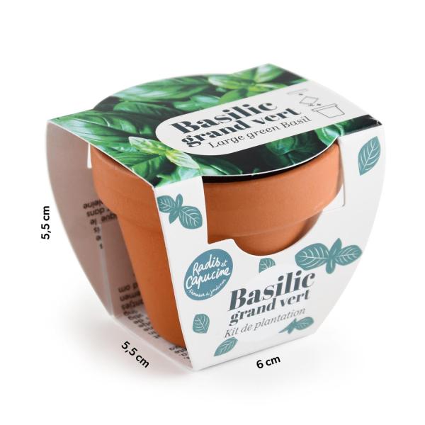 Radis et Capucine - Mini kit Basilic Grand Vert - Terre Cuite - 6 cm - face recto